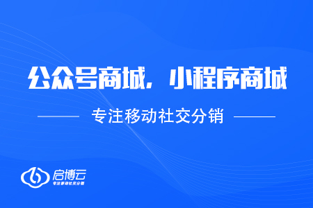 公眾號(hào)商城,，小程序商城那個(gè)更勝一籌,？