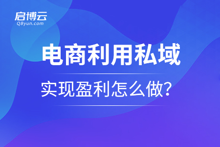 電商利用私域?qū)崿F(xiàn)盈利應該怎么做？