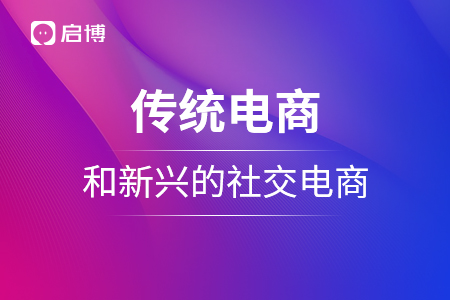 傳統(tǒng)電商和新興的社交電商