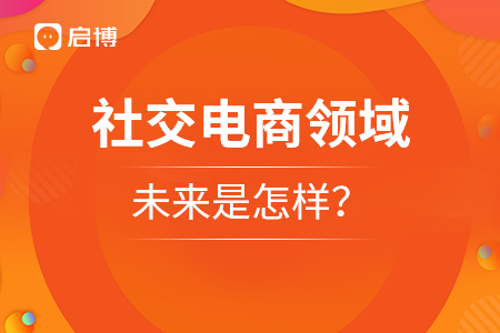 社交電商領(lǐng)域的未來是怎樣,？