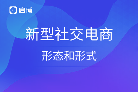 新型社交電商的形態(tài)和形式