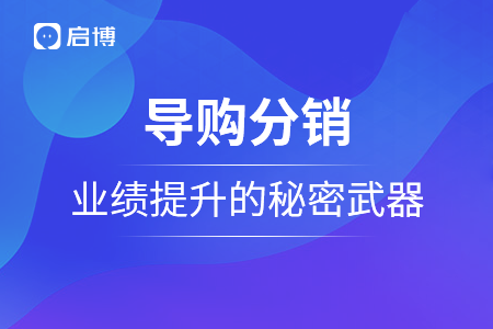 導購分銷,，門店業(yè)績提升的秘密武器