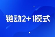 鏈動 2+1 模式開發(fā)