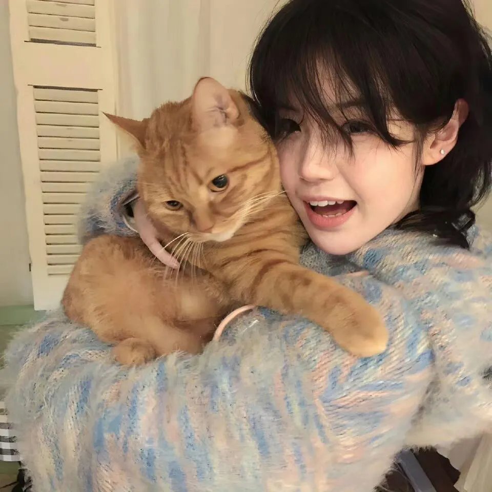 藤本树剧情